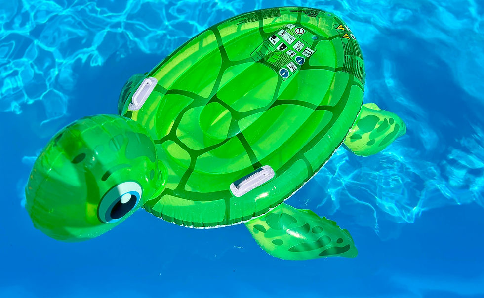 Miniature : Tortue Gonflable XXL Bestway