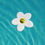 Miniature : Water Lily Toucan