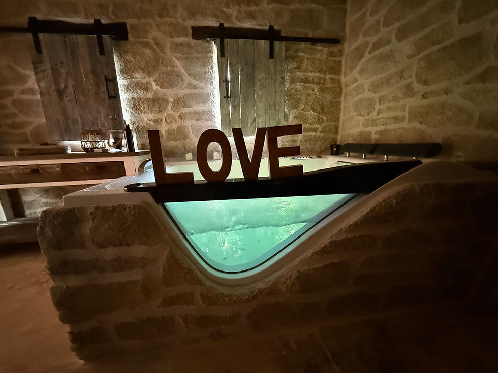 Miniature : Location Balneo Spa Duo
