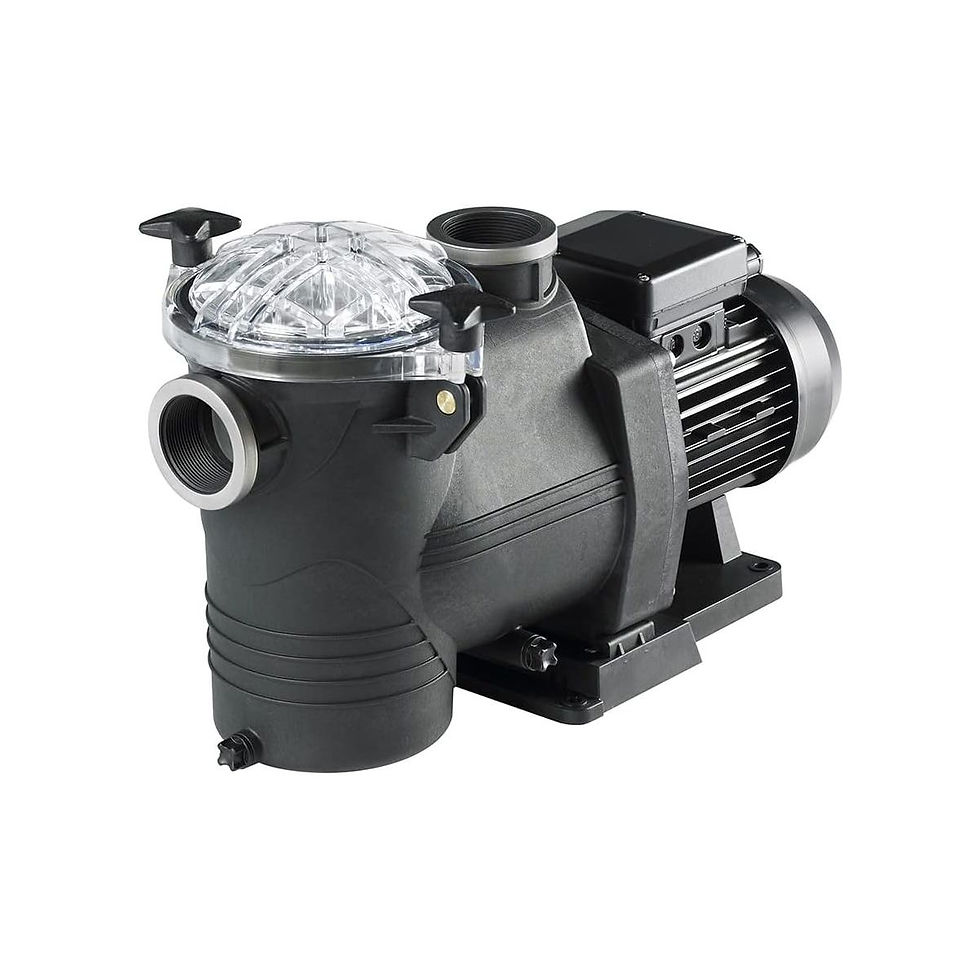 Miniature : Pompe filtration New Europa 1CV profil