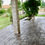 Miniature : Dalles de Bourgogne en béton gris