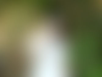 江口寿史氏のトレース疑惑について思ったこと