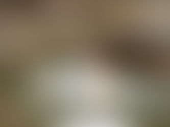 ⚫︎3月22日〜3月28日