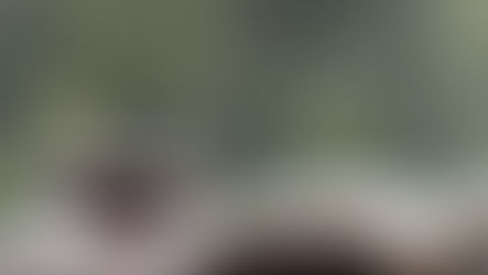 Top 5 Of New November Books For Rainy Weekends