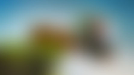 Spend The Last Winter Month With New February TV Shows