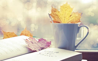 TOP 5 Books For Your Cozy September Evenings