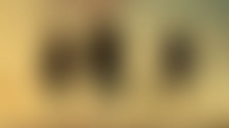 Debut And Much-Anticipated New December TV Shows