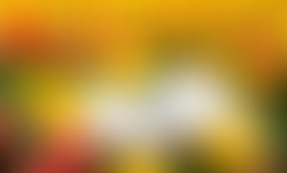 Top 5 Of New April Book Releases To Enjoy This Month