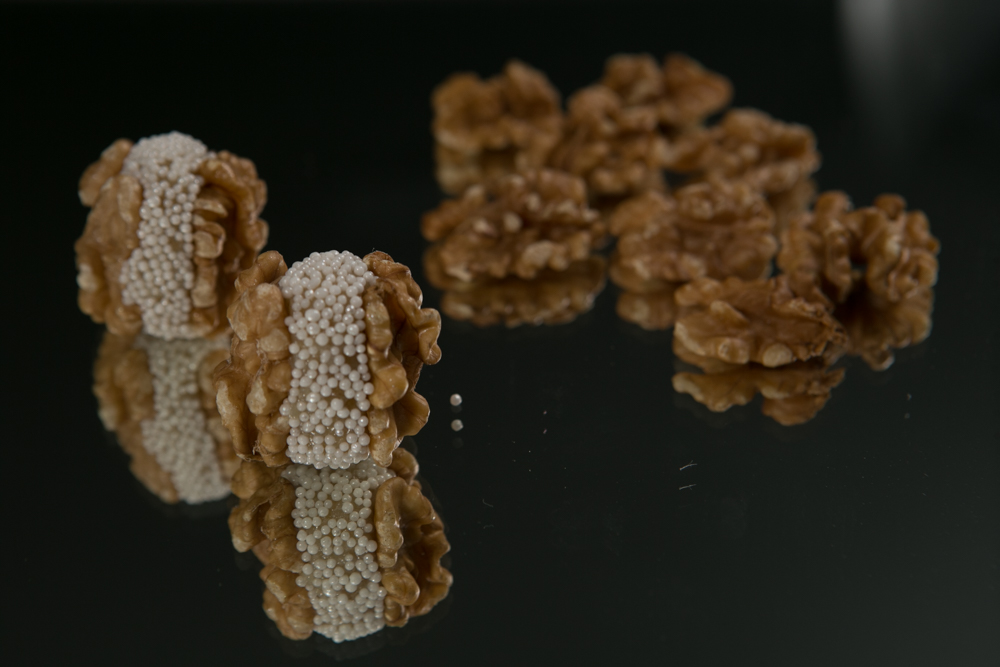 Arranged Food and Objects