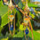 Thumbnail: Elven Sorcerer's Earrings