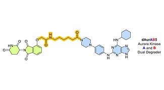 2024_ChemMedChem.png