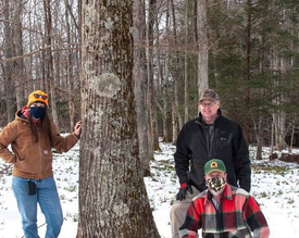 KY TACF New American Chestnut Found