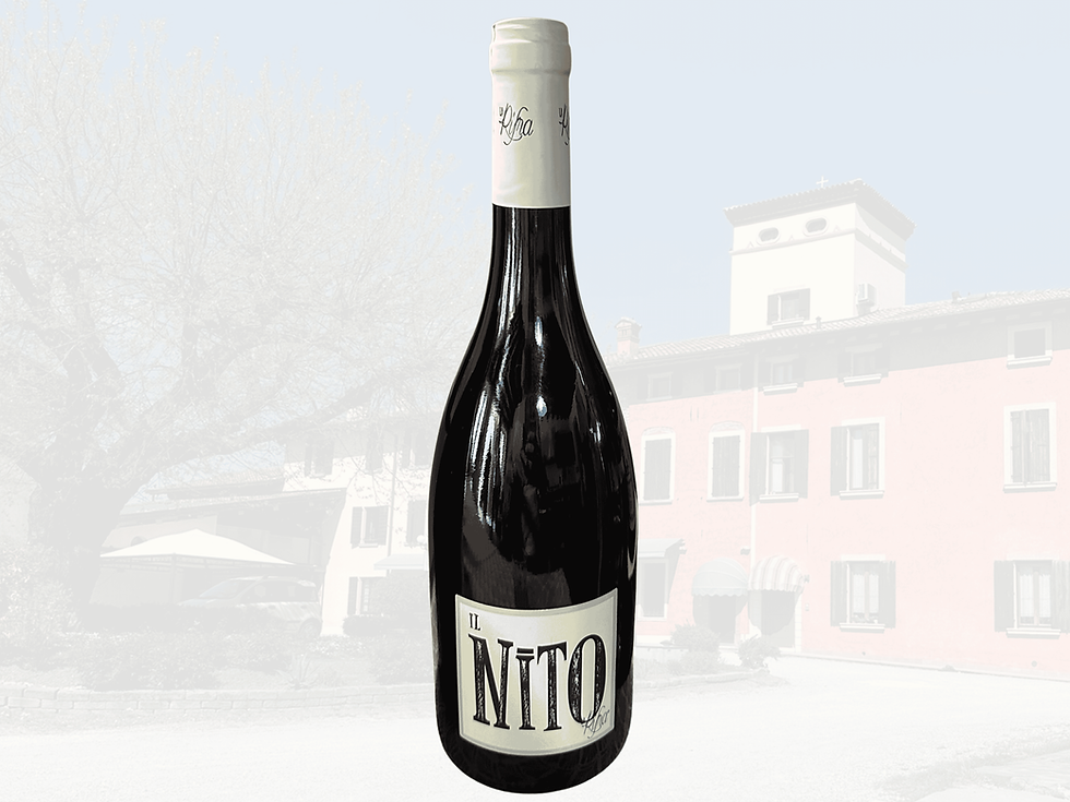 Il Nito - Redwine Blend -La Rifra - Italia