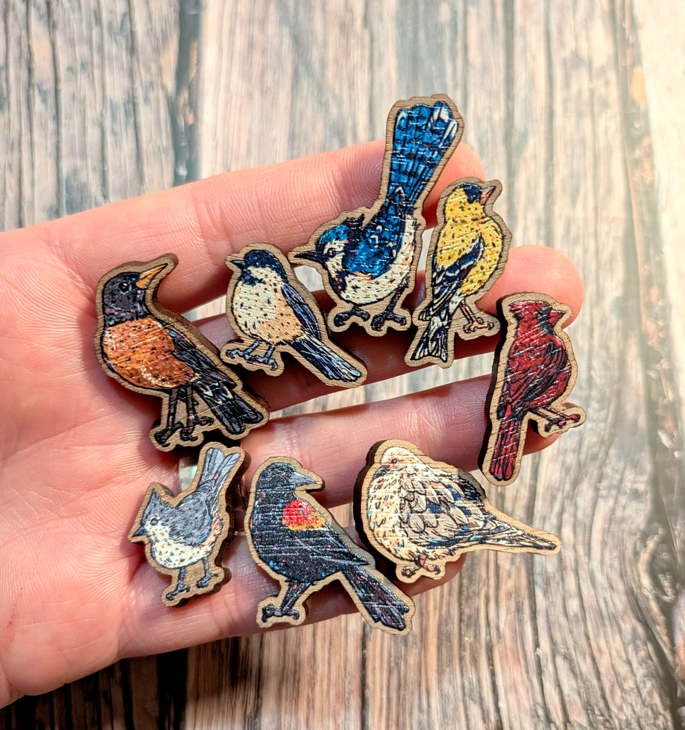 Backyard Birds Wooden Pins