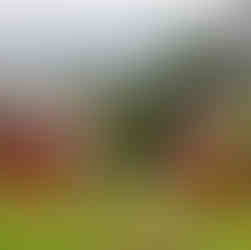 peaceful hotel near Izmir