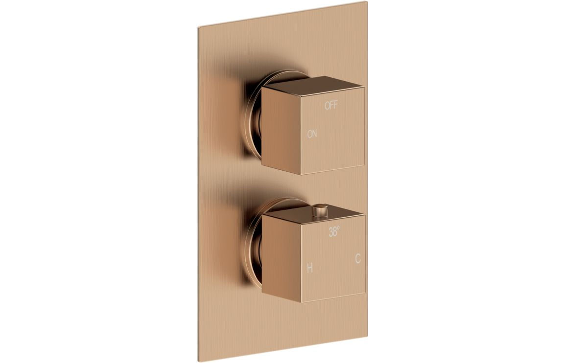 Cora Thermostatic Single Outlet Twin Shower Valve - Brushed Bronze