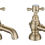 Thumbnail: Tucan Bath Pillar Taps - Brushed Brass