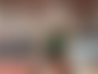 Los Indios de Mayagüez anuncian los próximos proyectos de su Academia