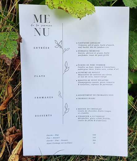 WhatsApp Image 2025-02-11 at 16.09.04(3).jpeg