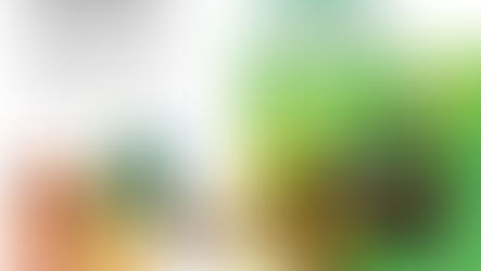 Sostenibilità e supply chain