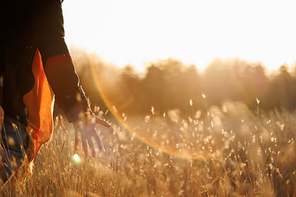 liberation