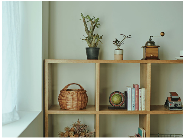 サムネイル： Alex shelf L