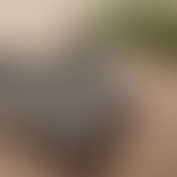 "Souviens-toi que tu es poussière…" blues ou boost ? 🤔