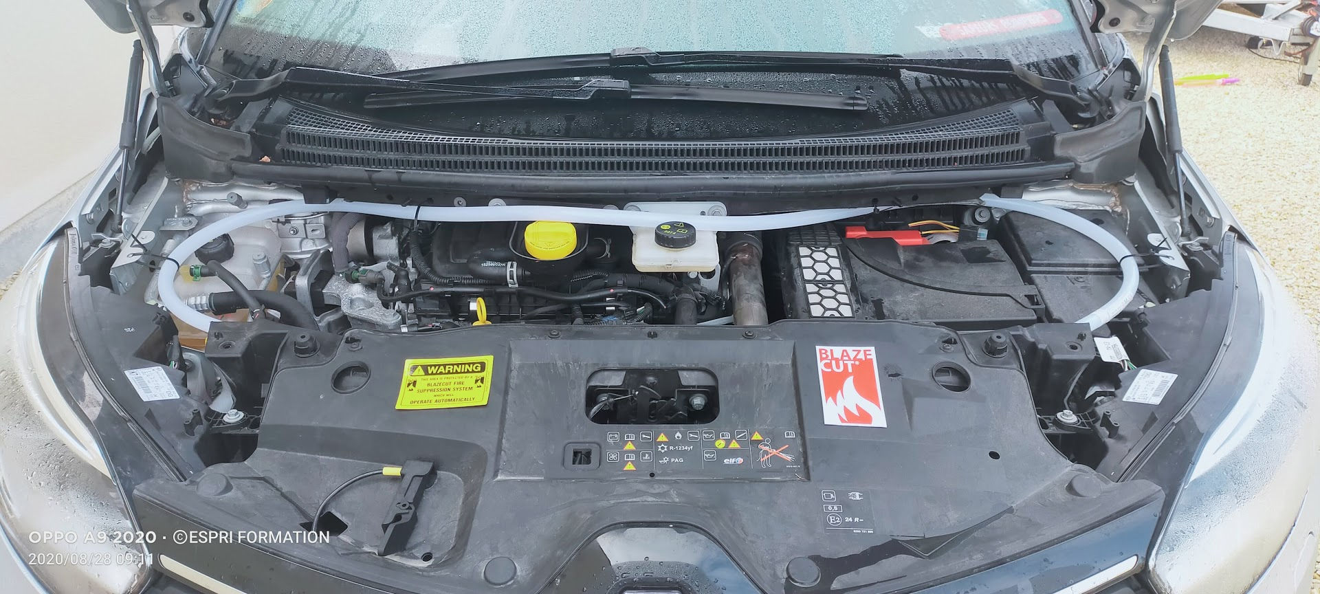 BlazeCut / 6 mètres / Blanc