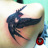 bird black and red tattoo Huzz ink by Zhdanov Dubai Jordan.jpg