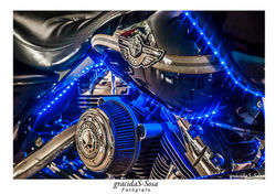 HD  1