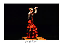 Flamenco
