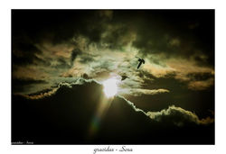 Facebook - ÁNGELES TERRENALES
Fotógrafo: gracidas - Sosa
    ( Visión Creativa )