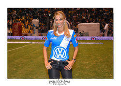 INES