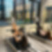 Pilates Reformer Group