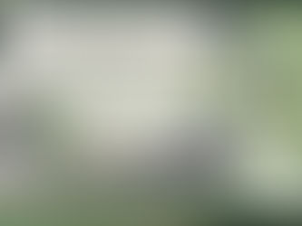 ABOUT BLEEPING TIME! BTO WILL NOW PROMOTE HUNTING AT LAST.