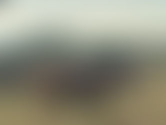 WILD BW: ONE HEALTH AND FMD IS IT A COINCIDENCE?