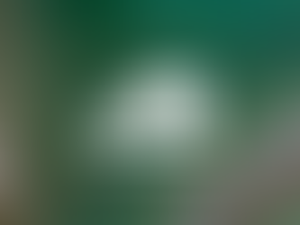 Healing the Hauraki takes centre stage at Moana Auckland, New Zealand’s Ocean Festival