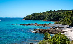 tiritiri-matangi-island.jpg