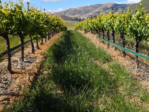 Our Statement on Cesar Chavez