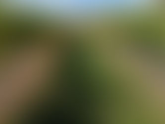 Our Statement on Cesar Chavez