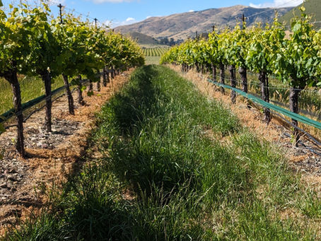 Our Statement on Cesar Chavez