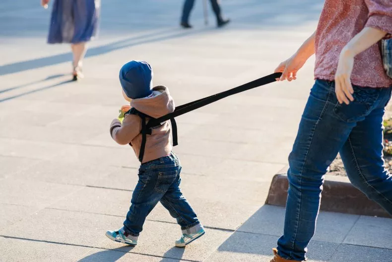 child on a leash