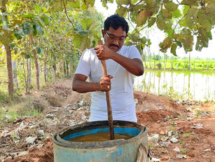 Vruksha Ayurveda Farming: Developing Healthy Plants that Produce Healthy Food