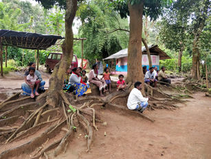 What do the Forest Dwellers Want to Say?
