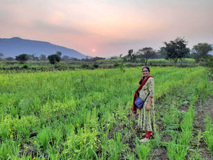 SAAD Agronics: Toxin-free Produce and Trade