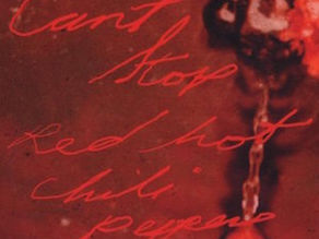 Michael's Number Ones: "Can't Stop" by Red Hot Chili Peppers