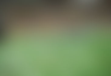 Roma steal bragging rights after 3-1 win over Lazio