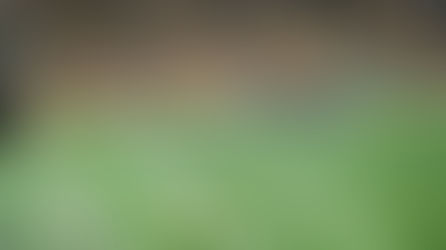 Roma steal bragging rights after 3-1 win over Lazio