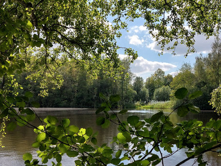 A Summer at Home Diaries - Part 1