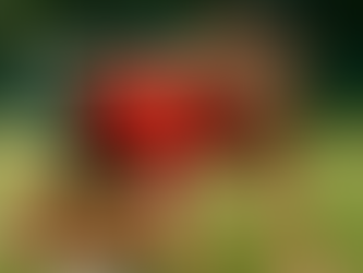 Kindgerechte Athletik: Mehr als Liegestütze und Rundenlaufen